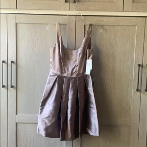 Adrianna Papell Sleeveless Silk Sheath Dress